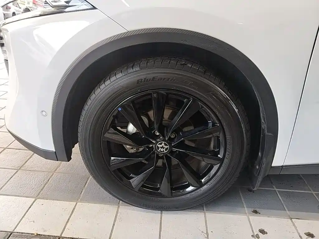 Venucia Big V 2023 2021 260T King Edition