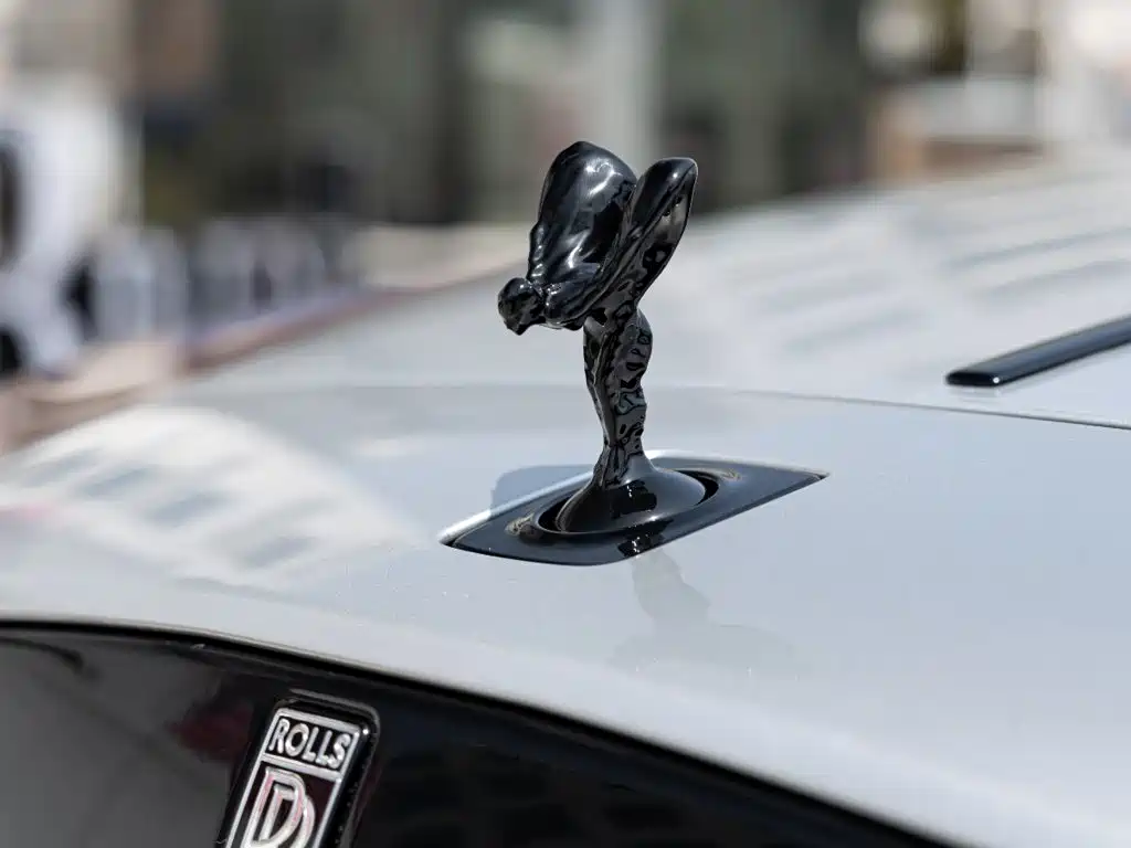 Фото 9 - Rolls-Royce Wraith