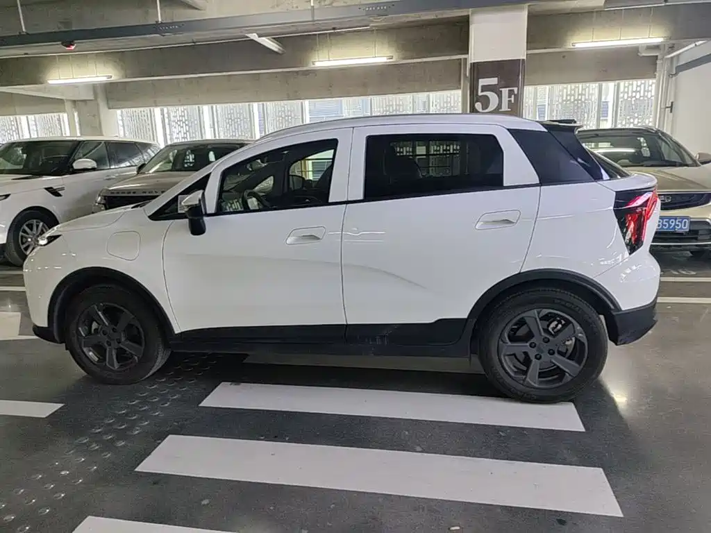 Geely Geometry E Firefly 2023 2024 Model 401km Fluorescent