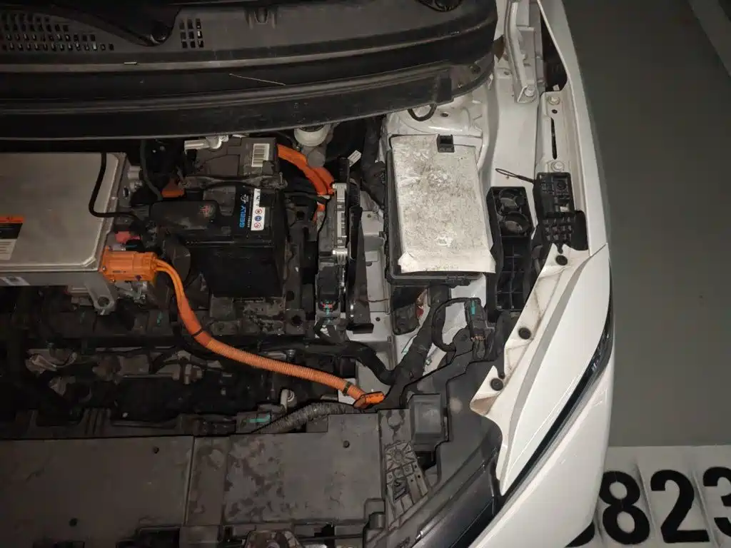 Geely Geometry E Firefly 2023 2024 Model 401km Fluorescent