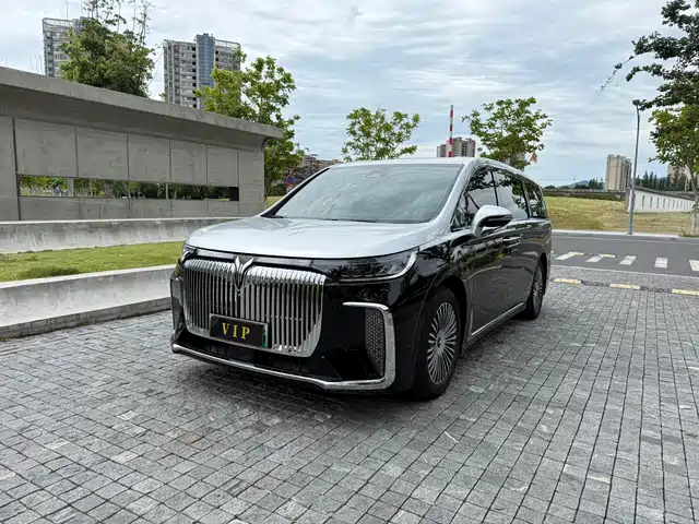 Voyah Auto Voyah Dreamer 2025