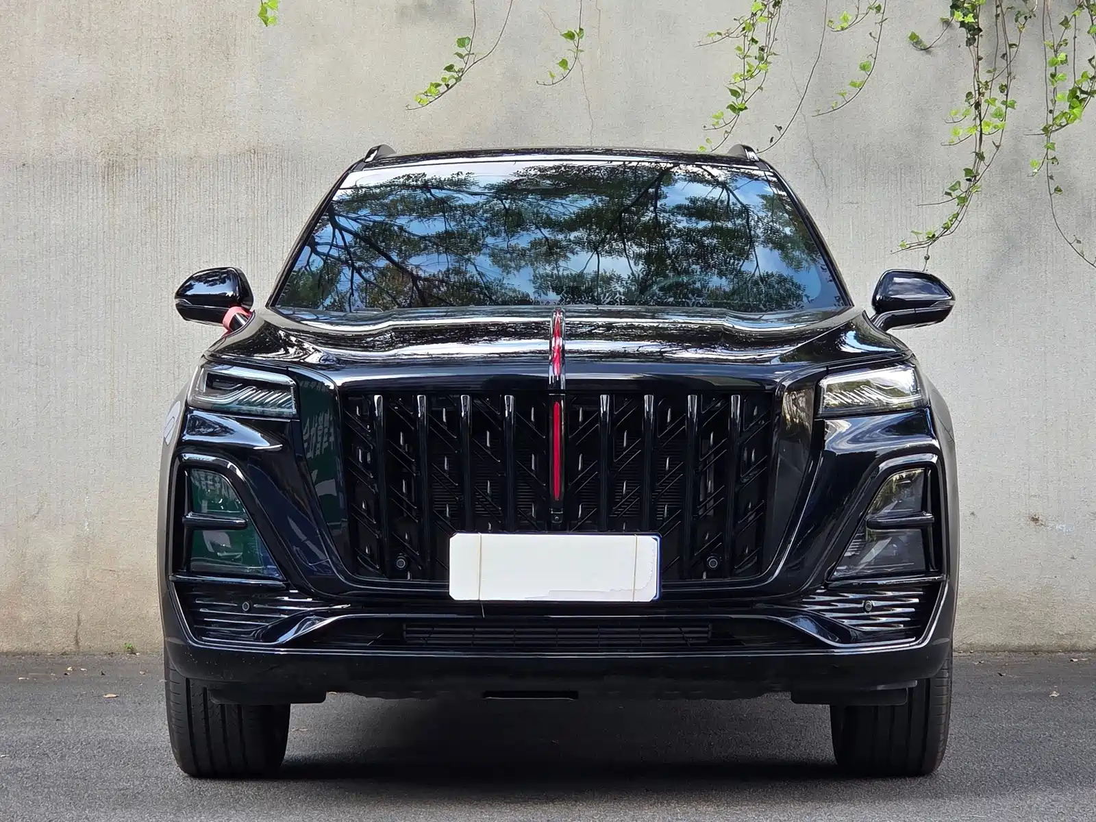 Photo 2 - Hongqi HS5