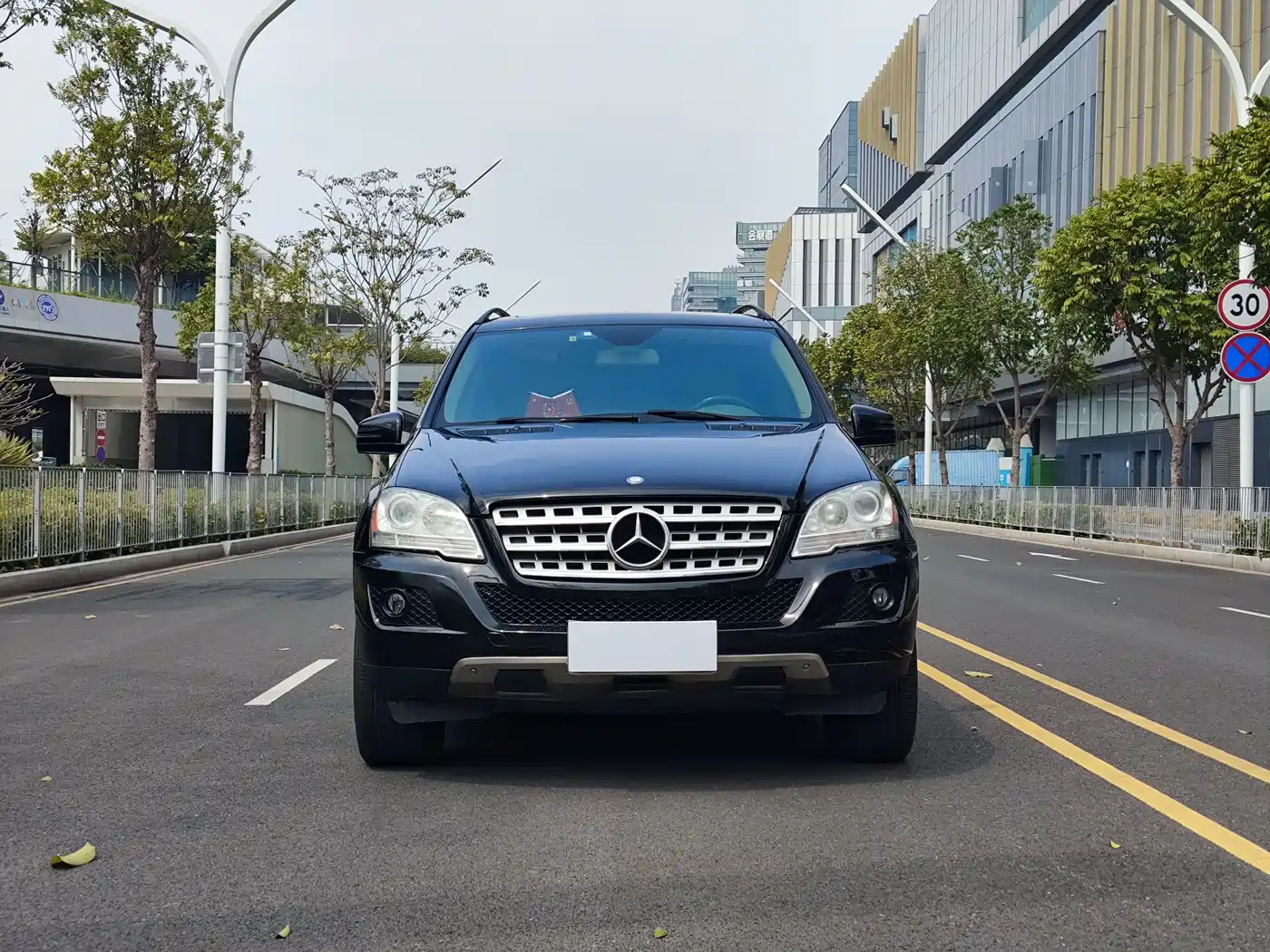 Mercedes-Benz M-Class 2010 ML 350 4MATIC Luxury Special Edition фото 2