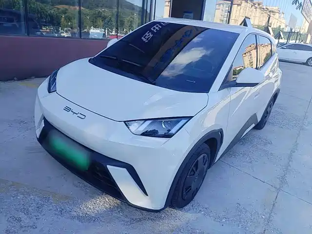 BYD Seagull 2024