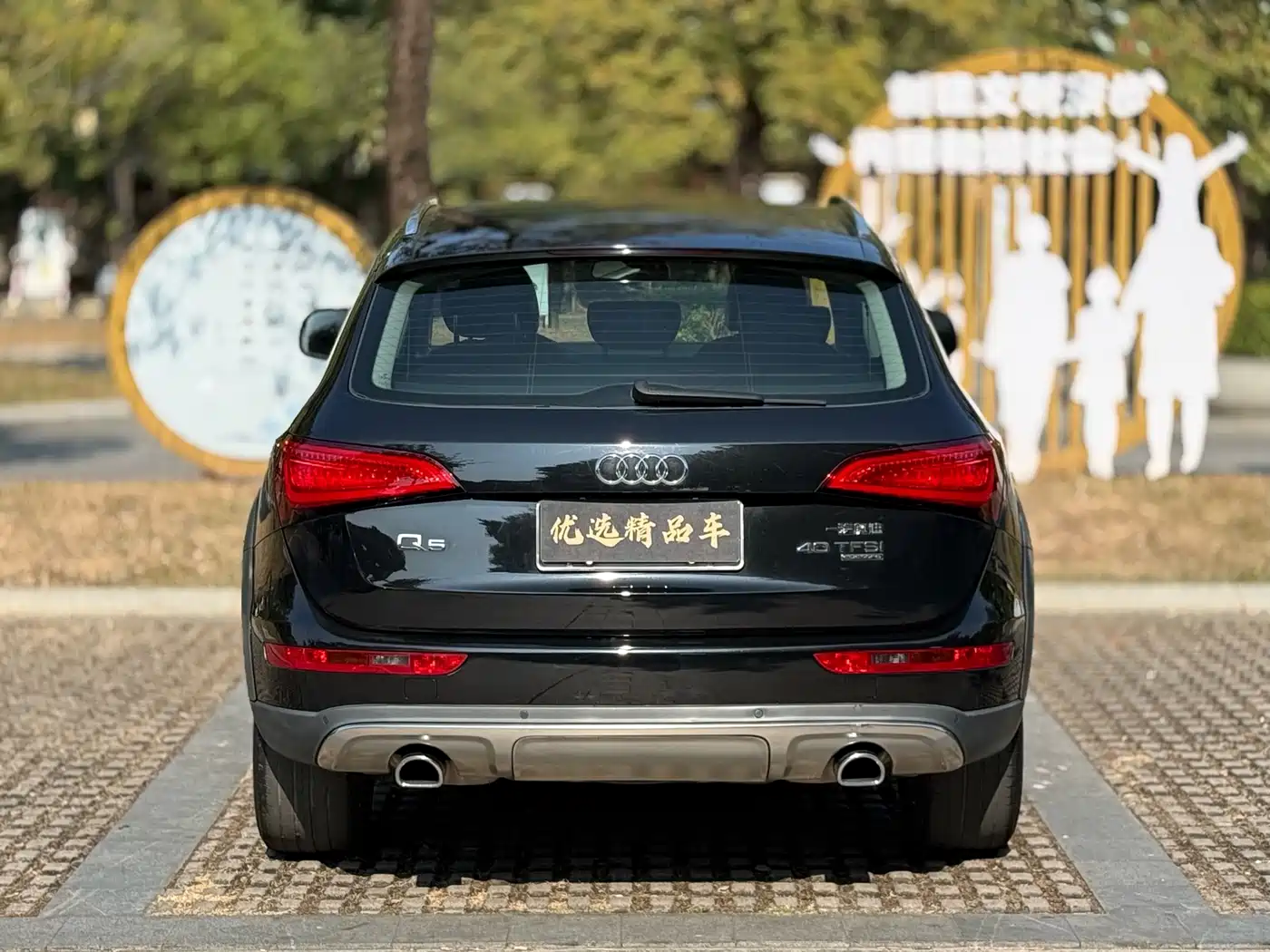 Audi Q5 2017 Plus 40 TFSI Technology фото 8