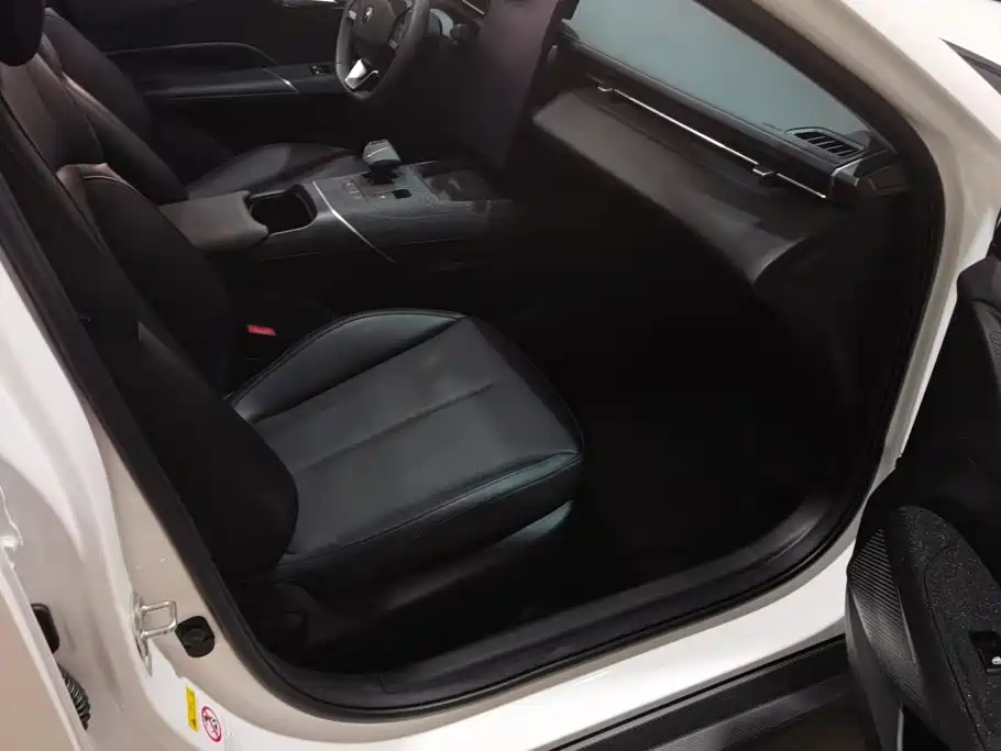Фото 8 - Changan Eado