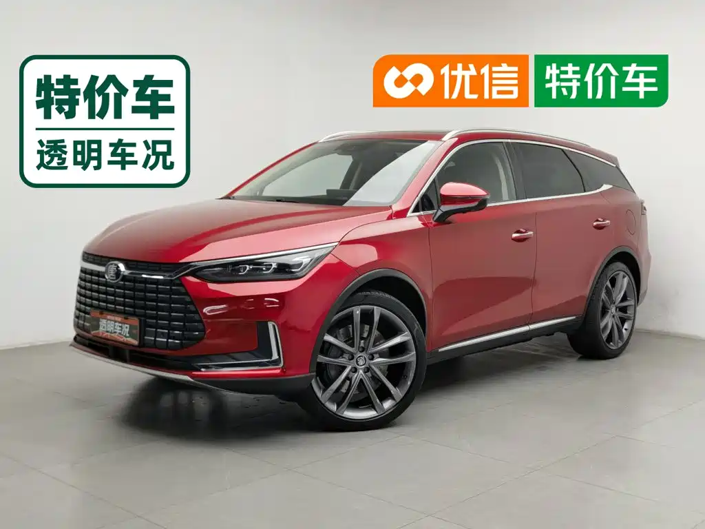 Фото 1 - BYD Tang New Energy