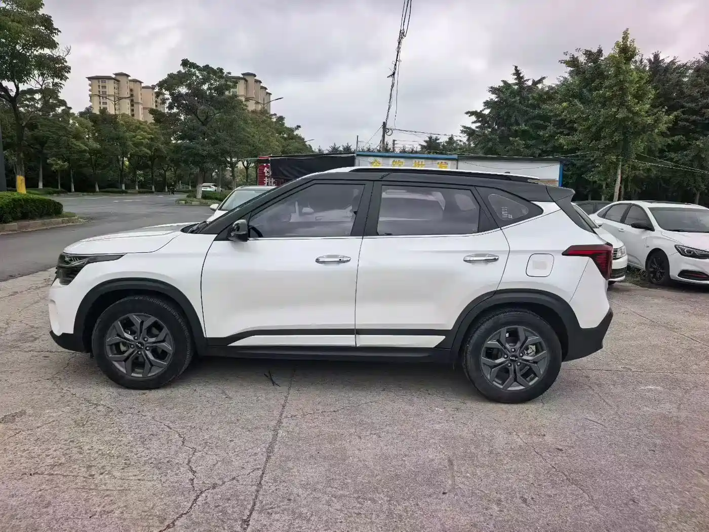 Kia Seltos 2024 2023 1.5L CVT Luxury Edition