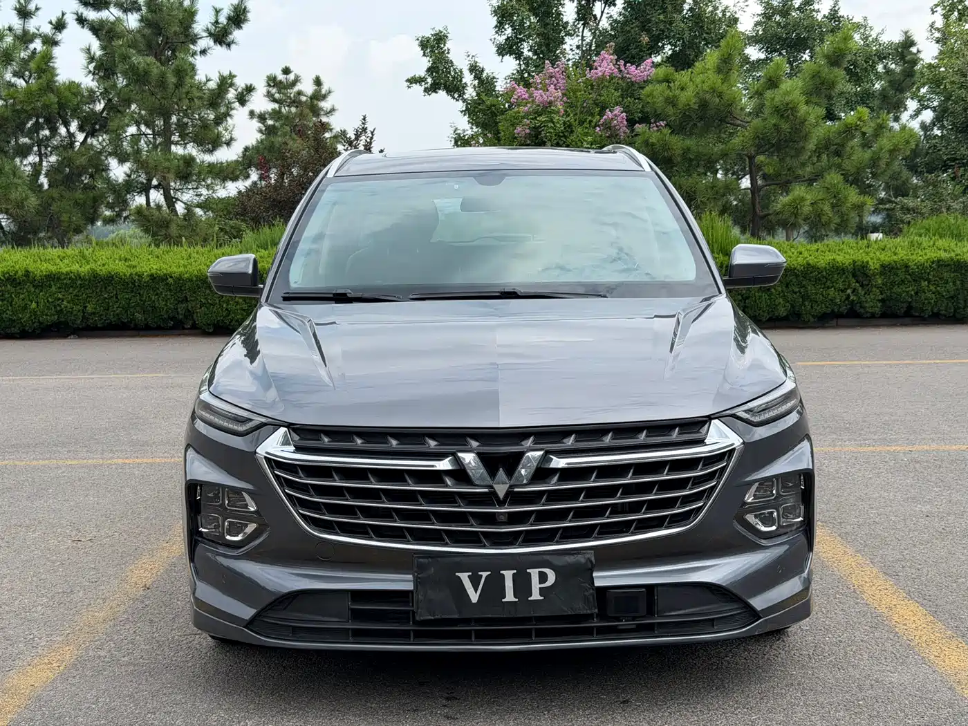Wuling Motors Wuling Victory 2021 2020 1.5T CVT Flagship Business Class