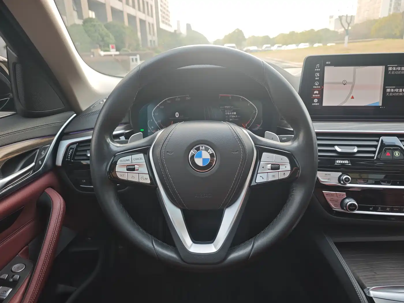 BMW 5 Series 2021 530Li Leading Luxury Package фото 11