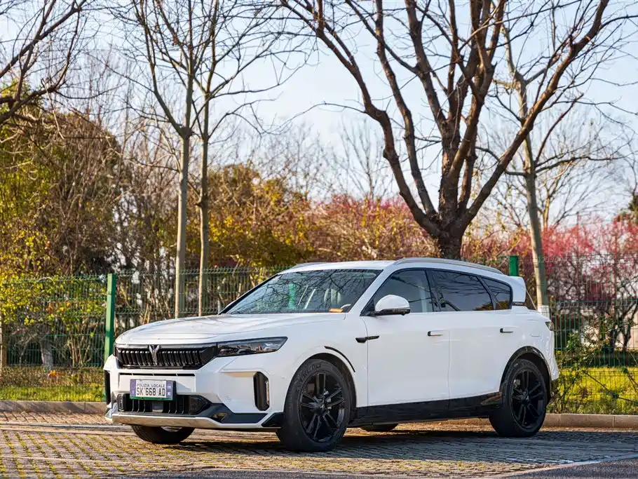 Voyah Auto VOYAH FREE 2024 Ultra Long Range Intelligent Driving Edition
