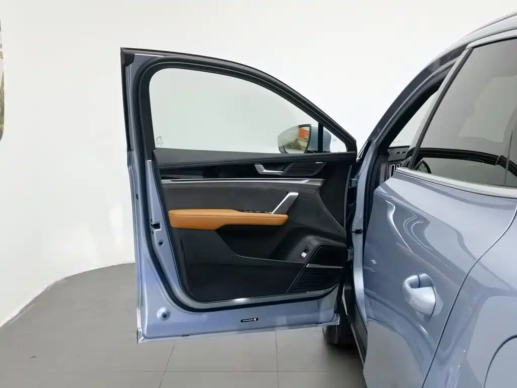 Photo 8 - BYD Tang New Energy