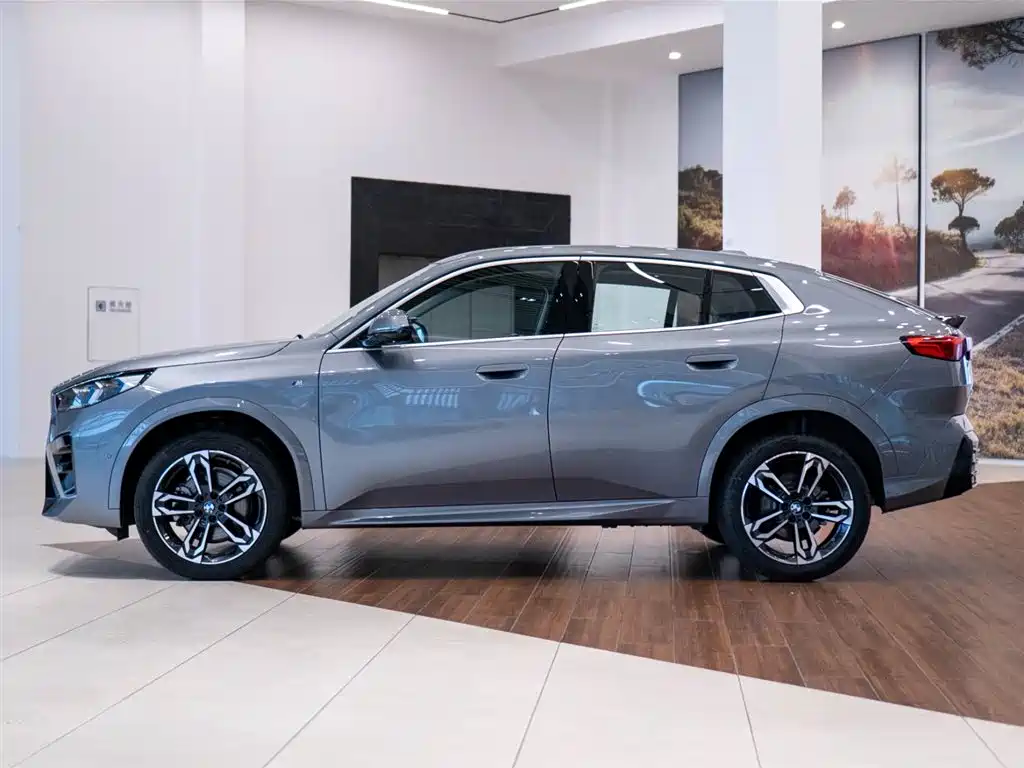 BMW X2 (Import) 2025 2024 sDrive25i M Sport Package