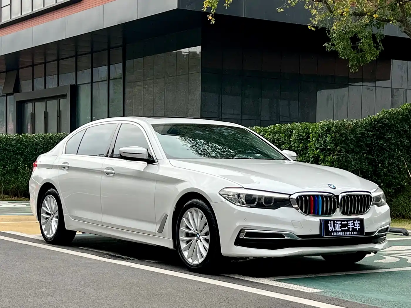 BMW 5 Series 2019 530Li Leading Luxury Package фото 3
