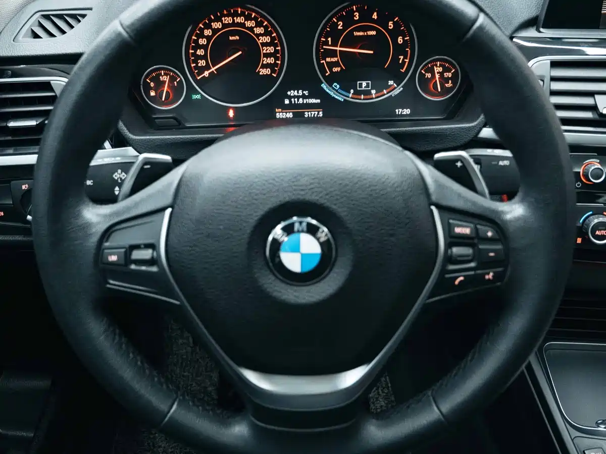 BMW 3 Series 2017 320Li M Sport фото 13