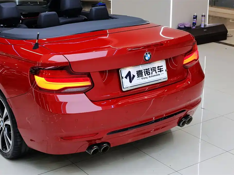 BMW 2 Series (Import) 2019 225i Convertible Coupe Sport Design Package фото 5