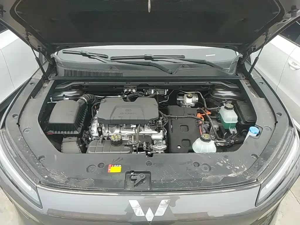 Wuling Motors Wuling Xingguang S 2026 2024 130km Flagship Model