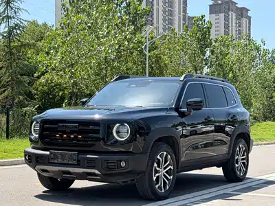 Haval Dargo