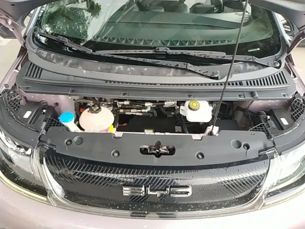 Photo 10 - BYD Dolphin