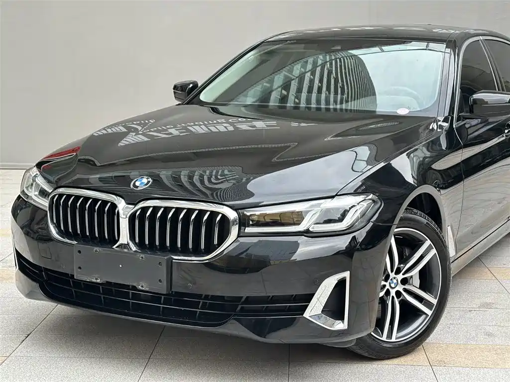 BMW 5 Series 2021 530Li Leading Luxury Package фото 21