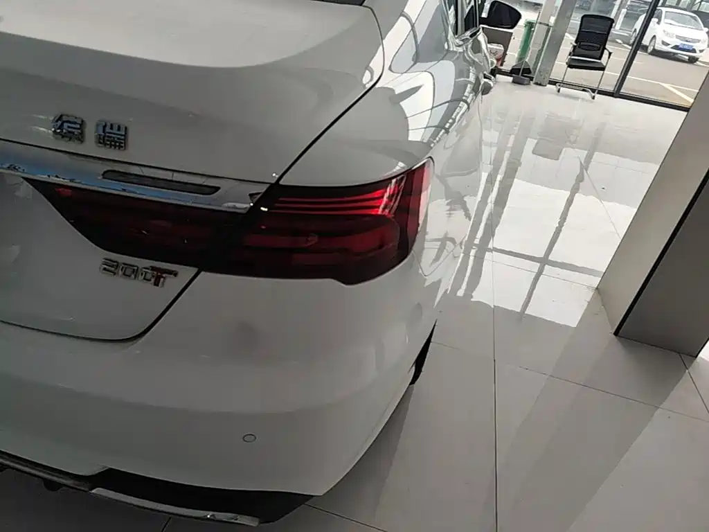 Фото 8 - Geely Binrui