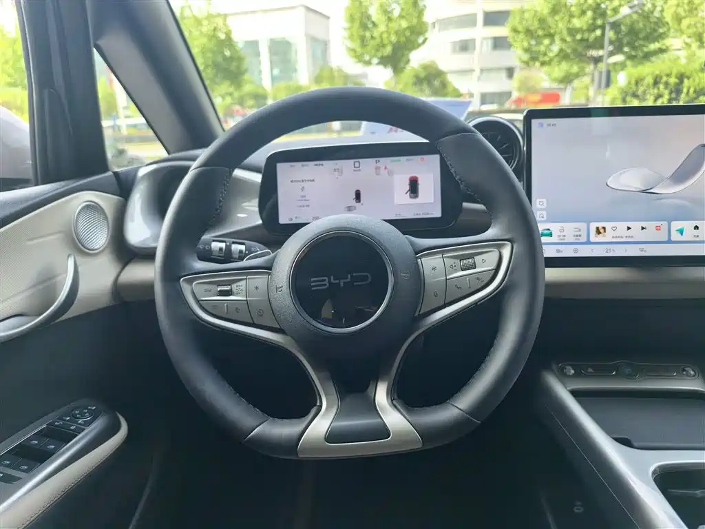 BYD Dolphin 2025 Smart Drive Edition 420km Freedom Version фото 10