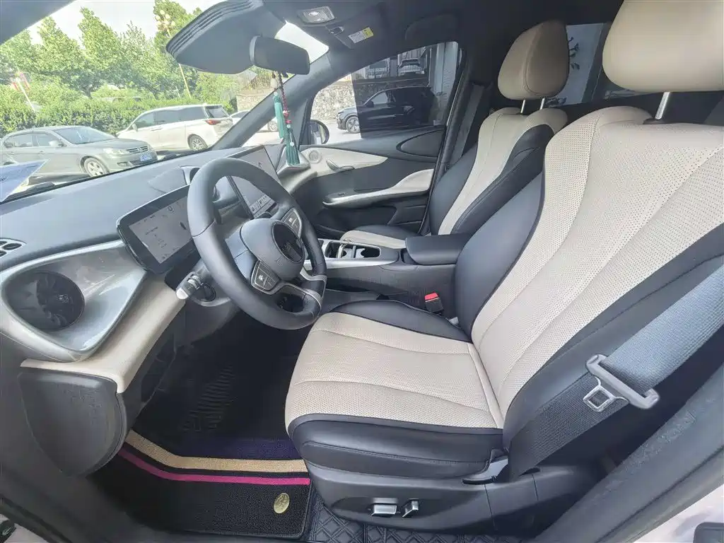 BYD Dolphin 2025 Smart Drive Edition 420km Freedom Version фото 11
