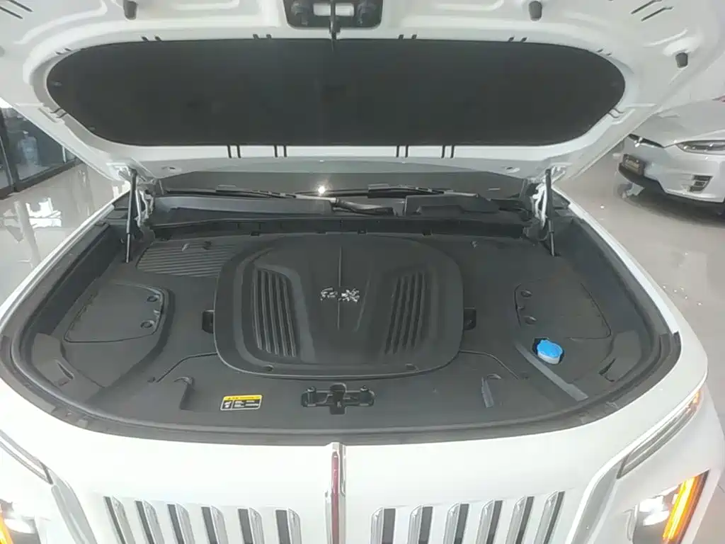Hongqi E-HS9 2023 2022 660km Qi Chang Edition (6-seater)