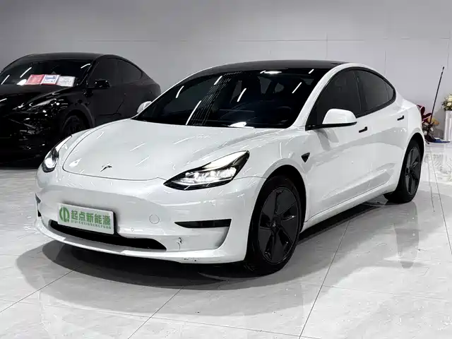 Tesla Model 3 Стандартный запас хода, задний привод, улучшенная, 3D6