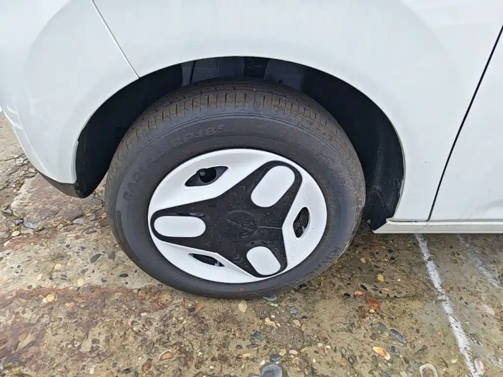 Geely Galaxy Panda 2026 2025 Panda mini 210km Vitality Bear