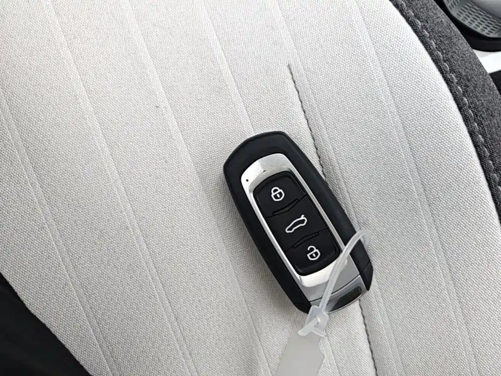 Geely Galaxy Panda 2026 2025 Panda mini 210km Vitality Bear