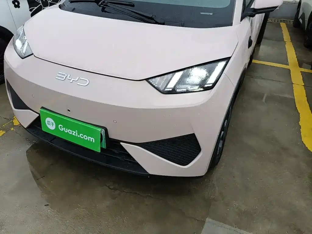 BYD Seagull 2026 2025 Smart Drive Edition 305km Freedom Version