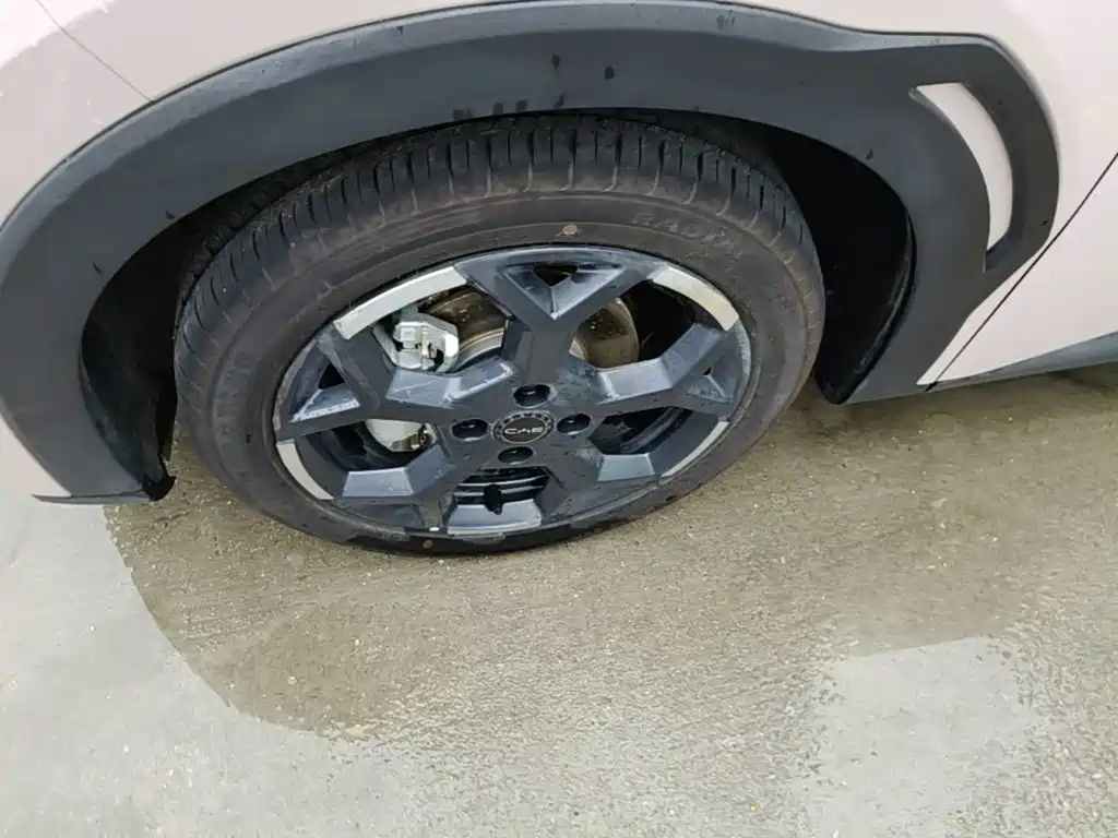 BYD Seagull 2026 2025 Smart Drive Edition 305km Freedom Version