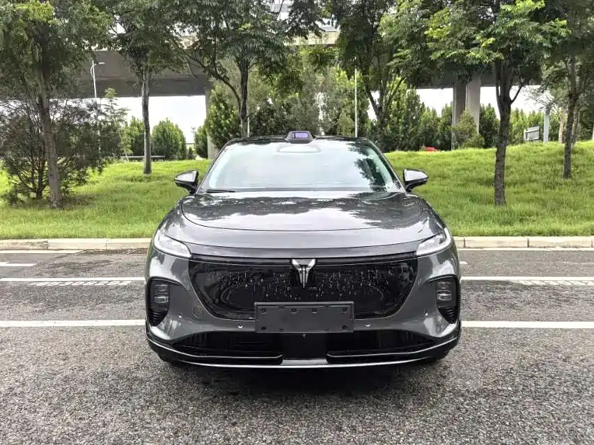 Фото 2 - Voyah Auto Voyah Zhiyin
