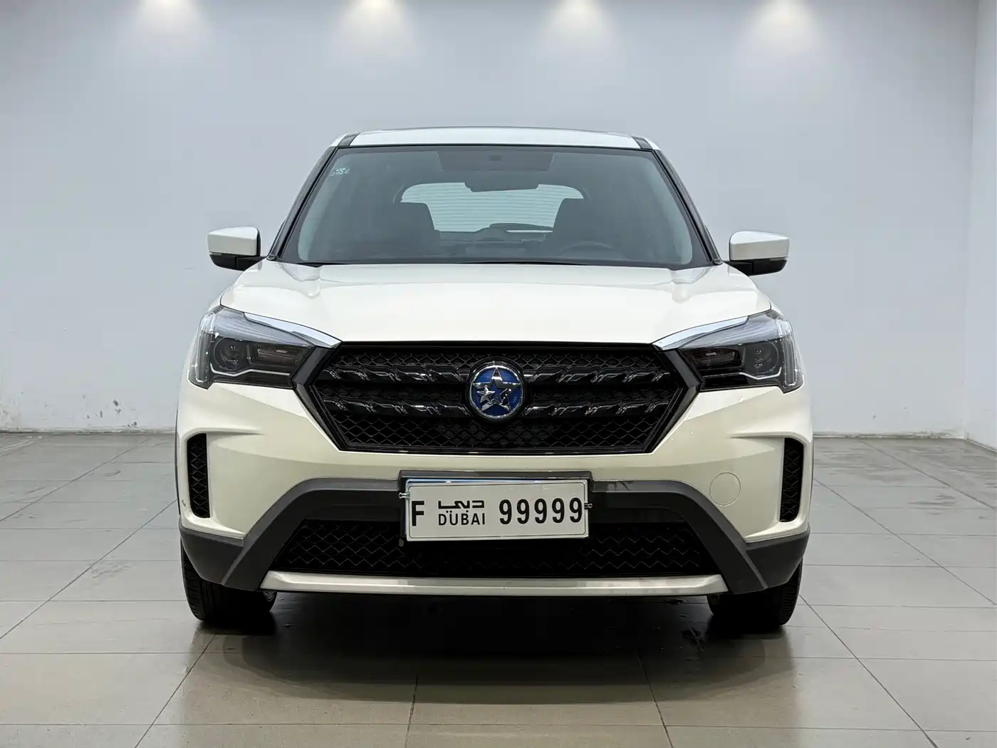 2022 Venucia T60