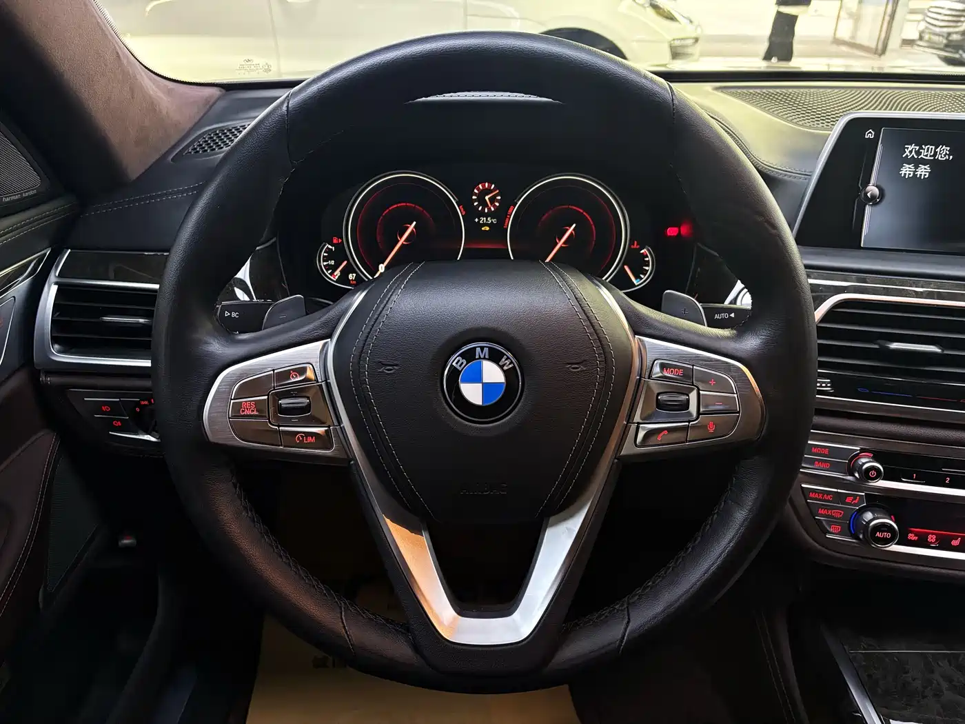 BMW 7 Series 2016 730Li Luxury фото 11