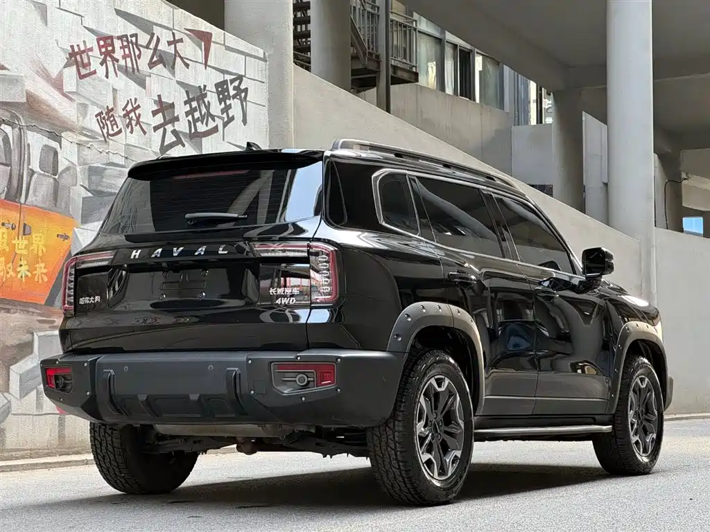 HAVAL BIG DOG
