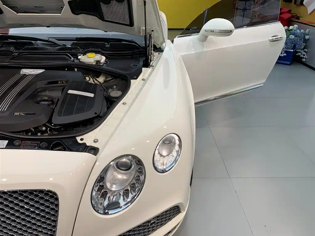 صورة 20 - Bentley Continental