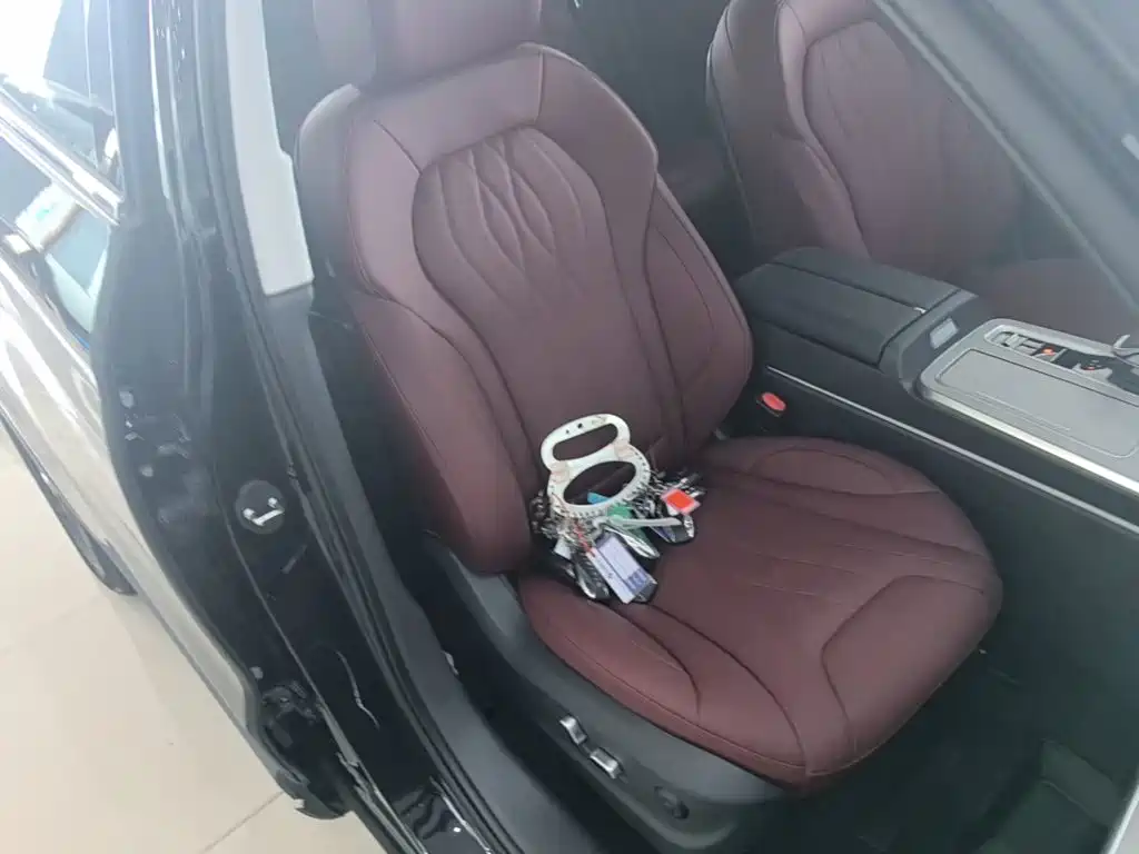 Hongqi HS5 2025 2025 2.0T 2WD Qixiang Pro