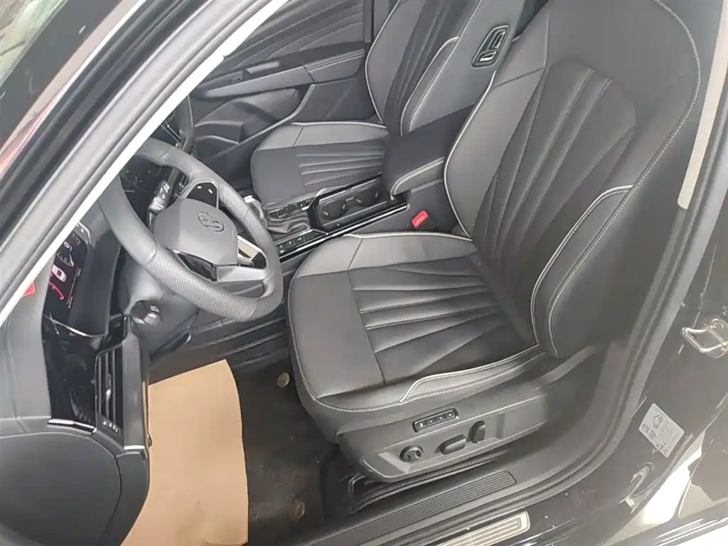 Volkswagen Passat 2024 330TSI Starlight Elite Edition фото 15