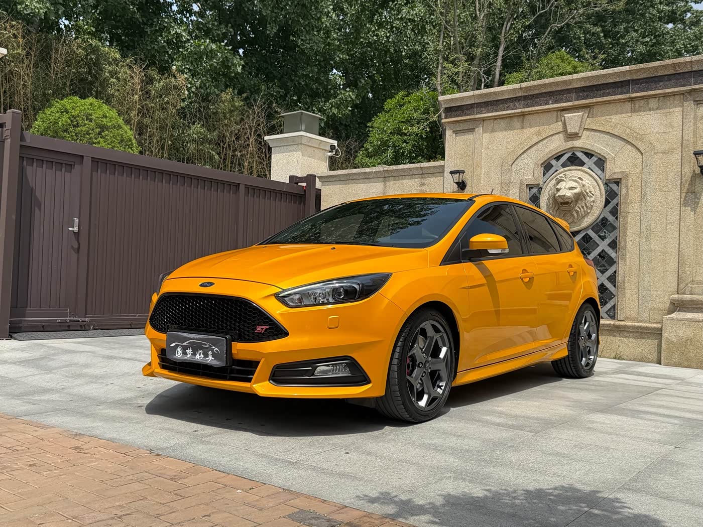 Ford Focus (Import)