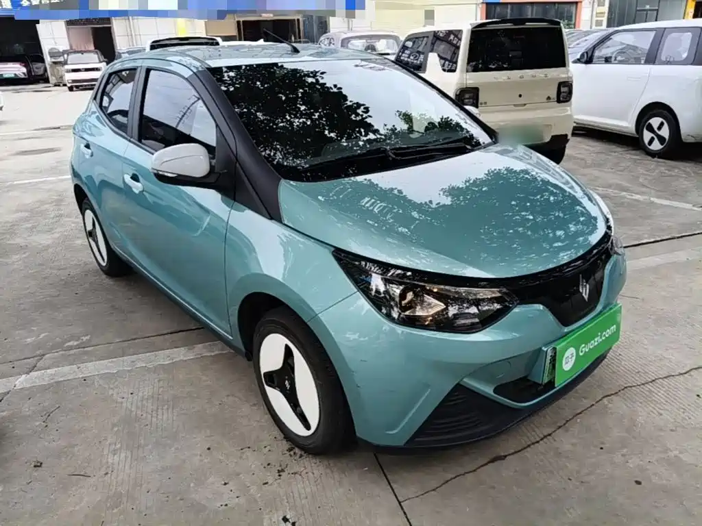 JMCG New Energy Little Kirin 2025 2024 201km Comfort Model