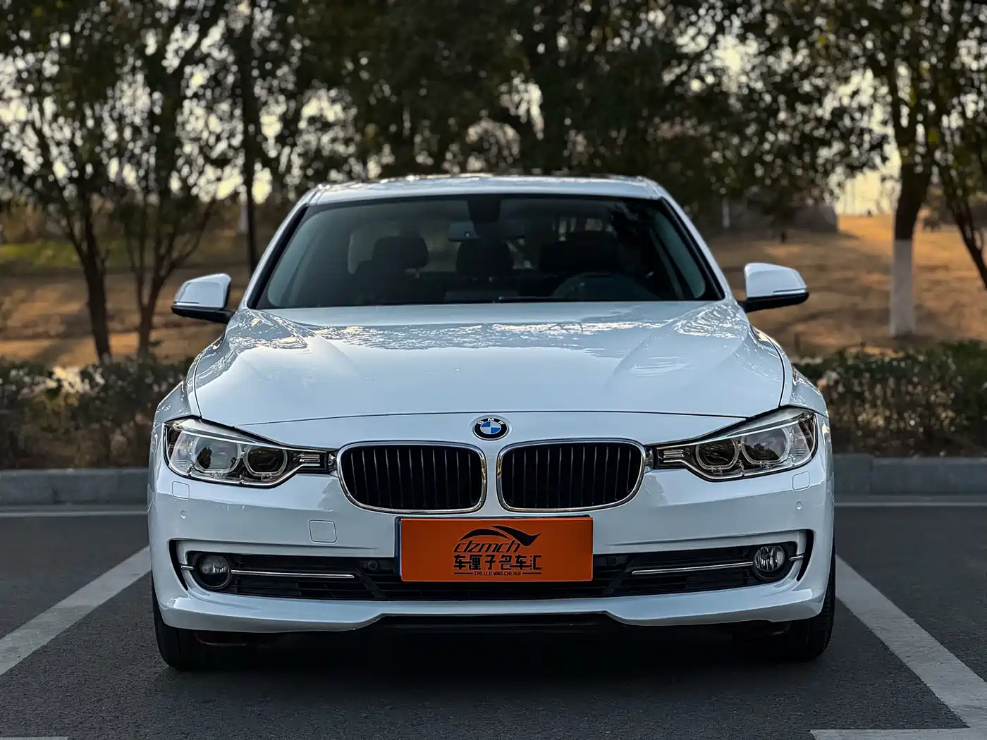 BMW 3 Series 2014 320Li Fashion фото 2