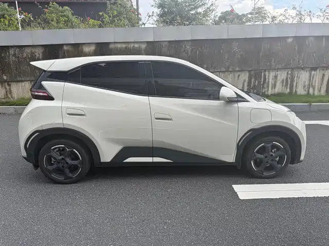 BYD Seagull 2024 Glory Edition 305km Freedom Edition — фото 5