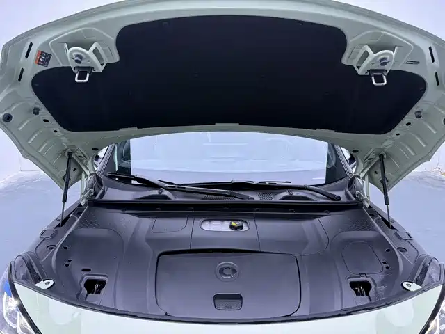 smart Elf #1 2025 2026 Agile New Luxury Edition
