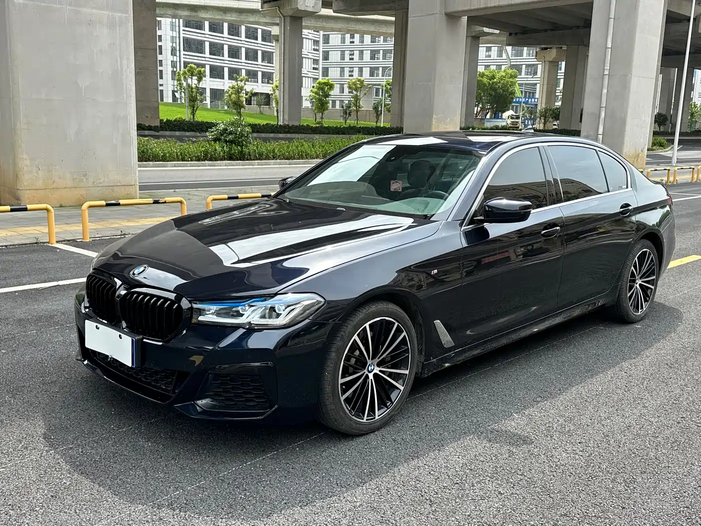 BMW 5 Series 2020 530Li Leading M Sport Package