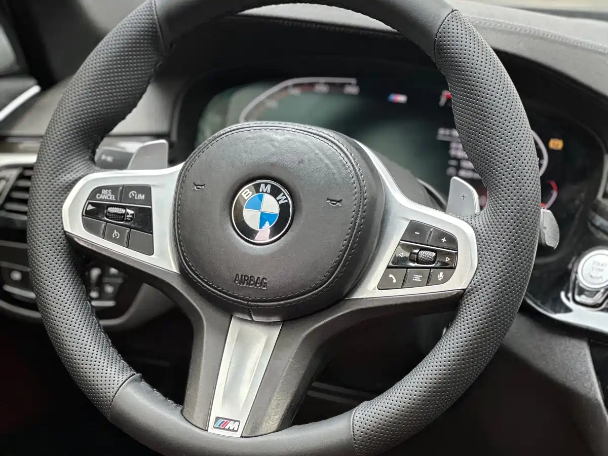 BMW 5 Series 2020 530Li Leading M Sport Package фото 13