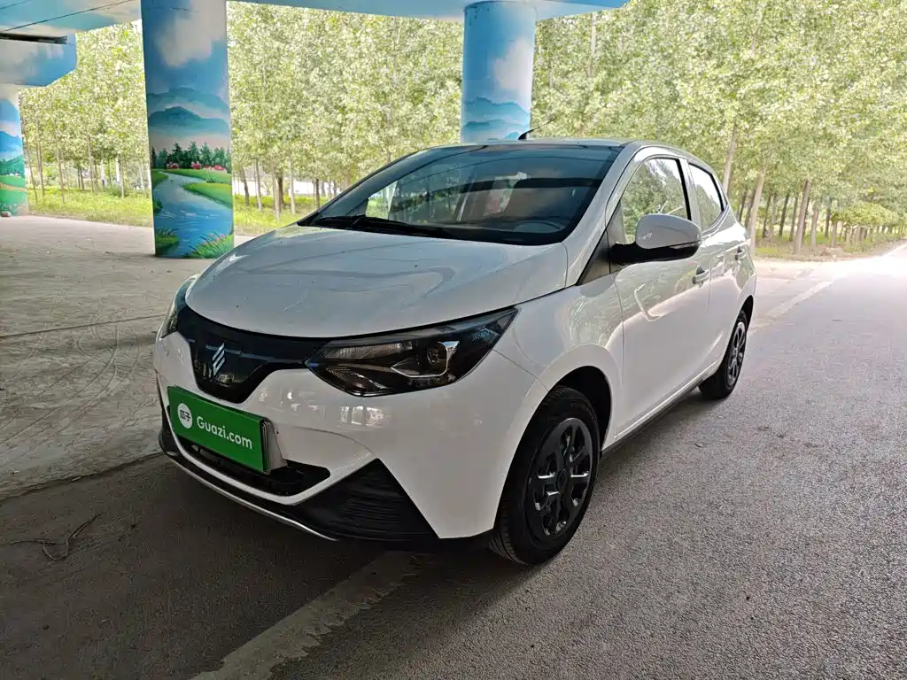 JMCG New Energy Little Kirin 2024 2023 Model Lucky Edition 201km Comfort