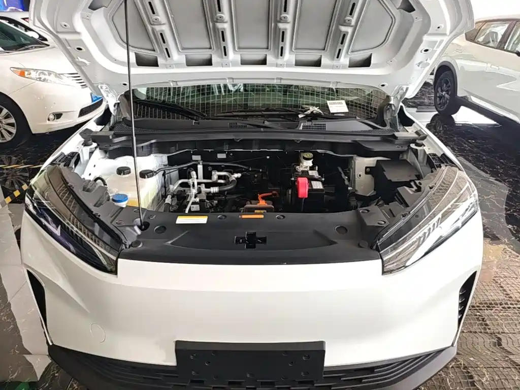 Фото 16 - Dongfeng Aeolus SKY EV01