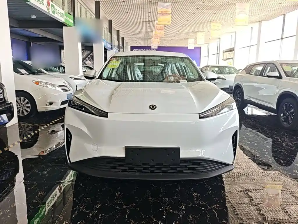 Фото 3 - Dongfeng Aeolus SKY EV01